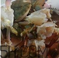 海虹蟹怎么做好吃？海紅蟹的做法
