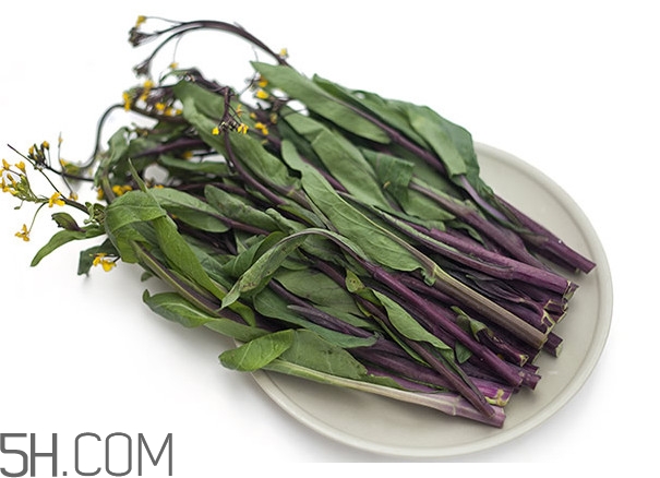 紅菜苔為什么炒出來的汁是藍(lán)色的？紅菜苔是什么菜