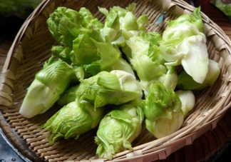 兒菜為什么叫兒菜？兒菜什么季節(jié)吃的
