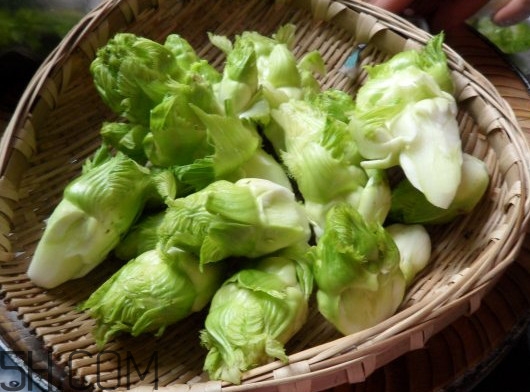 兒菜為什么叫兒菜？?jī)翰耸裁醇竟?jié)吃的