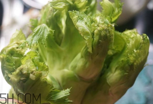兒菜為什么叫兒菜？?jī)翰耸裁醇竟?jié)吃的