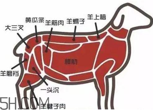 涮羊肉哪個部位最好吃？涮羊肉都有什么菜？