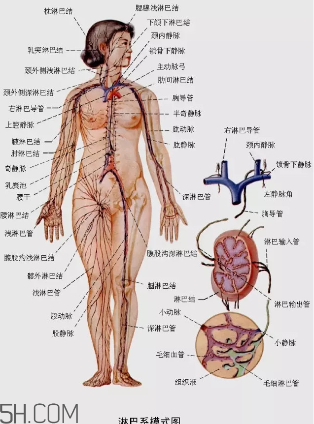 淋巴癌最嚴重時會成什么樣子？淋巴瘤能治好嗎