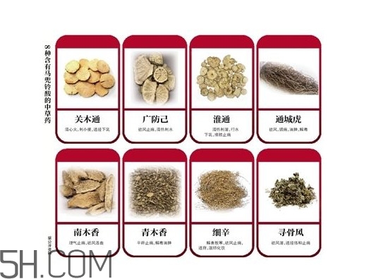 含馬兜鈴酸的藥都不能吃嗎？馬兜鈴酸真的會(huì)致癌嗎