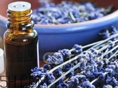 如何用精油護發(fā)？薰衣草精油護發(fā)怎么用？