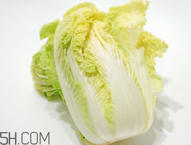 大白菜起源是哪里？大白菜產(chǎn)地分布有哪些