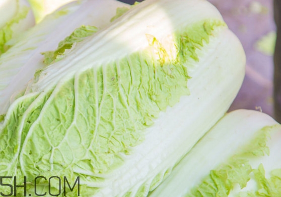 大白菜可以生吃嗎？大白菜可以隔夜吃嗎