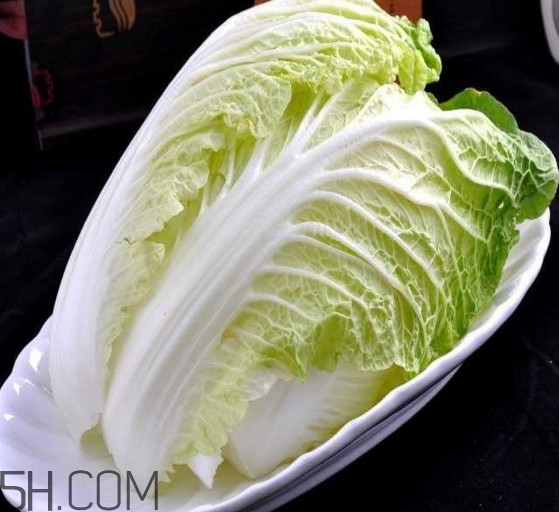 大白菜起源是哪里？大白菜產(chǎn)地分布有哪些