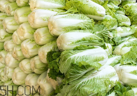 冬儲大白菜怎么才不會壞？冬儲大白菜什么時候上市