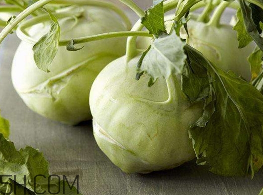 大頭菜營養(yǎng)價(jià)值有哪些？大頭菜什么時(shí)候種植