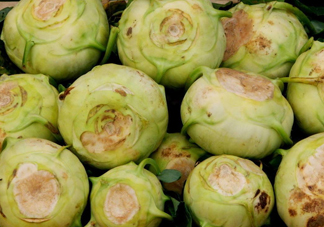 大頭菜是發(fā)物嗎？大頭菜是卷心菜嗎