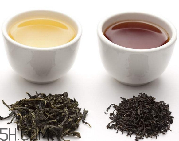 烏龍茶是什么茶？烏龍茶是紅茶還是綠茶