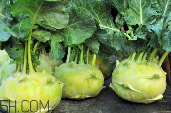 大頭菜營養(yǎng)價(jià)值有哪些？大頭菜什么時(shí)候種植
