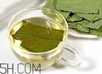 荷葉茶大概哪里有賣？荷葉茶副作用有哪些