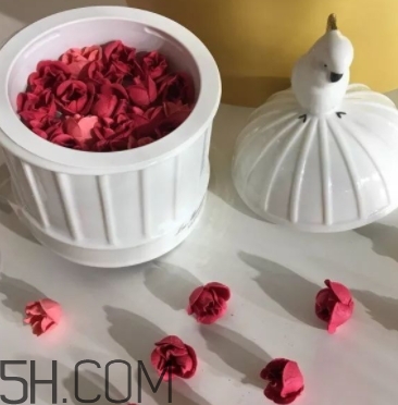 拉杜麗鳥籠腮紅多少錢？laduree2018拉杜麗鳥籠腮紅試色