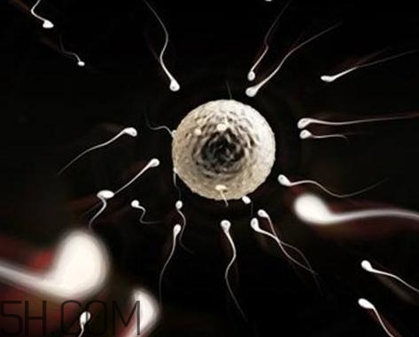 少精癥能自然懷孕嗎？少精癥多久能治好？