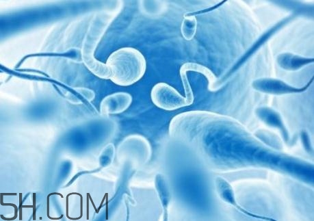 精子不液化是什么原因造成的？精子不液化吃什么藥好？