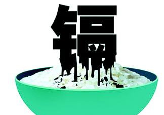 鎘污染會(huì)導(dǎo)致什么?。拷鞔竺诪楹螘?huì)鎘污染