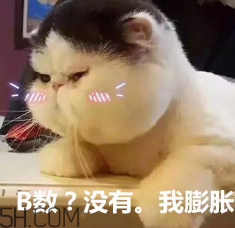 b數(shù)沒有我膨脹什么意思？b數(shù)沒有我膨脹表情包