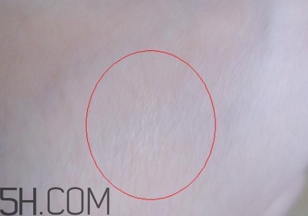 卡姿蘭遮瑕膏多少錢？卡姿蘭遮瑕膏專柜價(jià)格