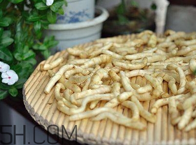 姜芽能吃嗎？姜芽怎么吃
