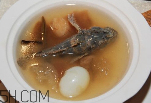 松江鱸魚哪里有？松江鱸魚什么季節(jié)吃最好