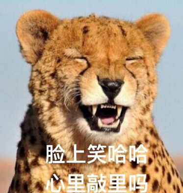 敲里lailai是什么意思？敲里lailai表情包無水印
