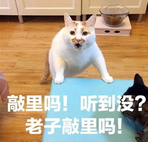 敲里lailai是什么意思？敲里lailai表情包無水印