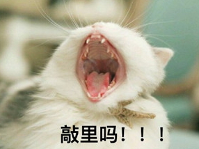 敲里lailai是什么意思？敲里lailai表情包無水印