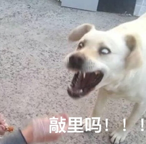 敲里lailai是什么意思？敲里lailai表情包無水印