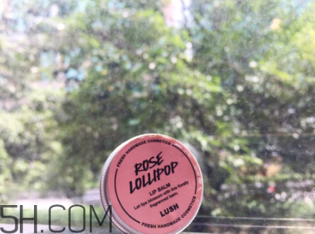 lush潤(rùn)唇膏好用嗎？lush潤(rùn)唇膏多少錢？