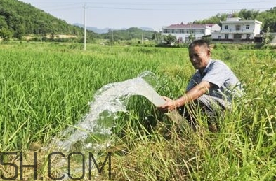 女生說抽水什么意思？女生發(fā)消息想抽水什么意思？