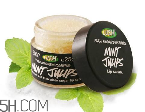 lush唇部磨砂膏好用嗎？lush唇部磨砂膏多少錢？