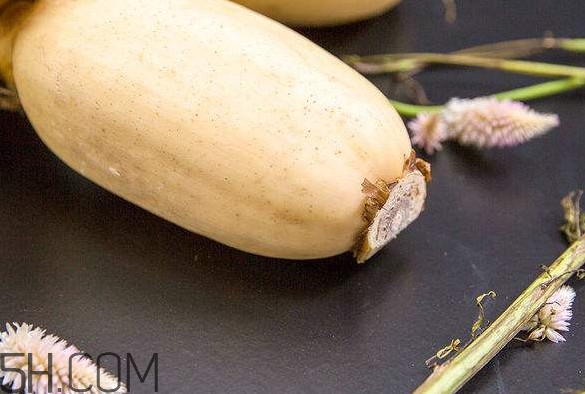 蓮藕是什么季節(jié)成熟的？蓮藕什么時候種植