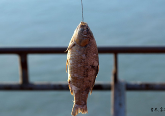 咸魚什么人不能吃？怎樣去除咸魚的咸