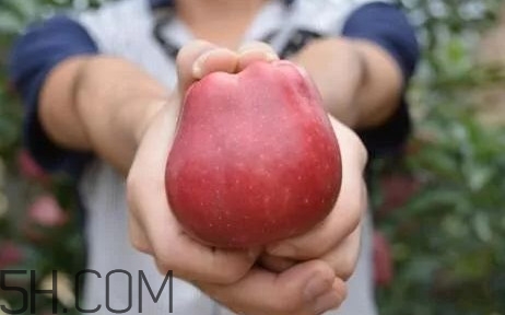 如何鑒別花牛蘋果？為什么叫花牛蘋果