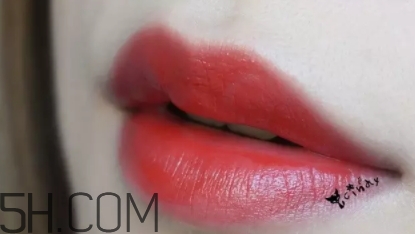mac lady bug好看嗎？lady bug試色