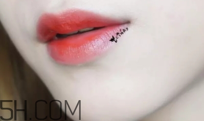 mac lady bug好看嗎？lady bug試色