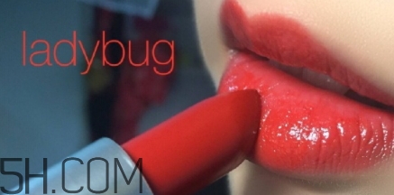 mac lady bug掉色嗎？mac ladybug真假辨別