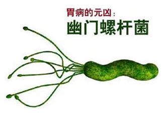 胃幽門螺旋菌陽性怎么辦？幽門螺桿菌能徹底治愈嗎