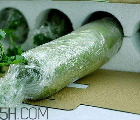 如何鑒別真假沙窩蘿卜？沙窩蘿卜怎么區(qū)分好壞