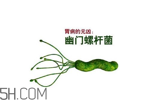 胃幽門螺旋菌陽(yáng)性怎么辦？幽門螺桿菌能徹底治愈嗎