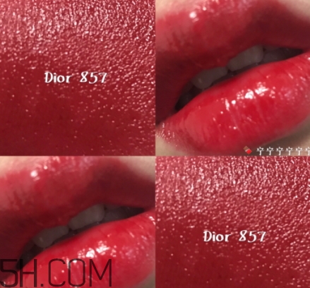 迪奧857和877哪個(gè)好看？迪奧857和877試色對(duì)比