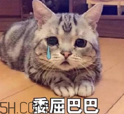 女生說我的胸好小什么意思？女生說我的胸好小怎么回復