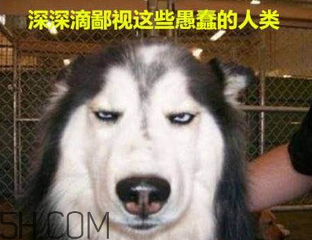 女生說(shuō)我醉了什么意思？女生說(shuō)喝多了怎么回復(fù)