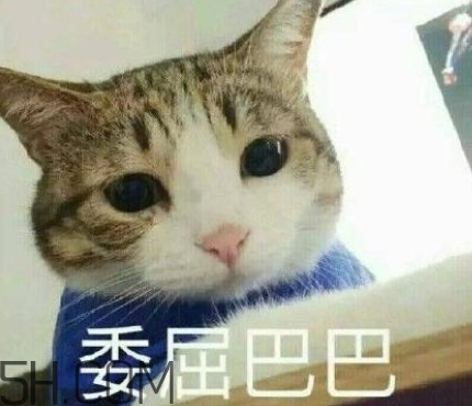 女人說再說吧什么意思？女生再說吧怎么回復(fù)？