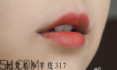 紀(jì)梵希304是西柚色嗎？紀(jì)梵希小羊皮304和317哪個好看？