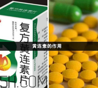 黃連素能降血糖嗎？黃連素能經常吃嗎？