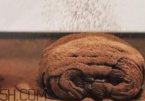 巧克力臟臟包多少錢一個(gè)？臟臟包價(jià)格表