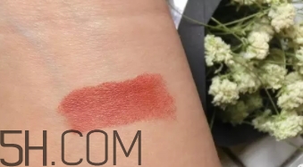 mac mocha和brick哪個(gè)好看？mac mocha和brick試色對(duì)比